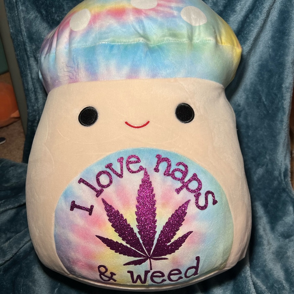 Custom Squishmallow